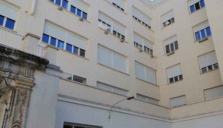 La Colonia De Vencejos Volvera A Tener Casa En Medicina Diario Bahia De Cadiz