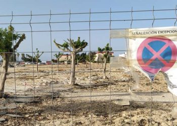 Aspecto de la obra de La Magdalena con los árboles podados / FOTO: Podemos