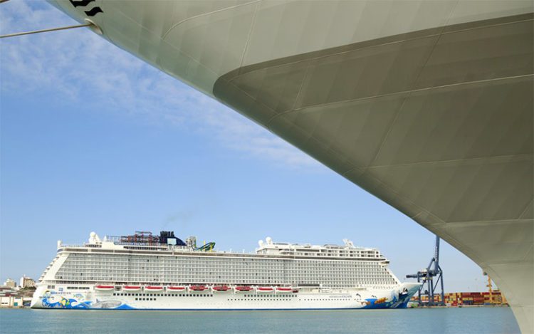 Varios cruceros atracados en Cádiz esta semana / FOTO: APBC