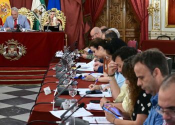 Un momento de la sesión desde la bancada de PP y Adelante / FOTO: Eulogio García