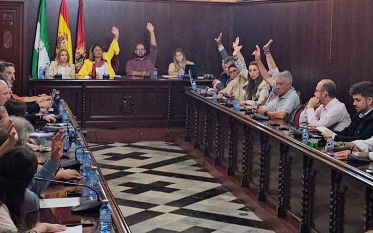 Votando en el último pleno del mandato / FOTO: PSOE