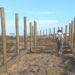 El camino para peatones y bicis en plena playa comienza a tomar forma / FOTO: Ecologistas