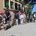 No faltaron los perros en la presentación de la campaña / FOTO: Eulogio García