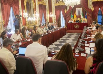 Un momento del pleno presidido por Martínez del Junco / FOTO: Diputación