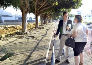 El concejala de Medio Ambiente repasando el arbolado en la zona de Chapín / FOTO: Ayto.