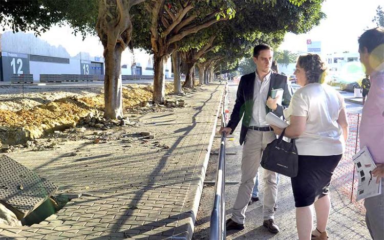 El concejala de Medio Ambiente repasando el arbolado en la zona de Chapín / FOTO: Ayto.