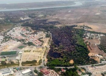 Imagen aérea de Las Canteras días después del incendio, con más negro que verde / FOTO: Ayto.