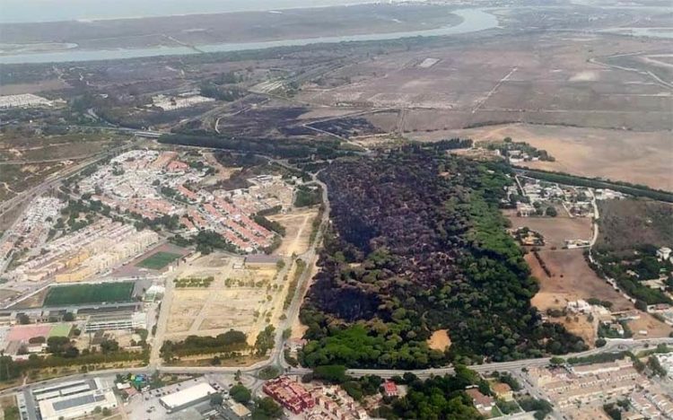 Imagen aérea de Las Canteras días después del incendio, con más negro que verde / FOTO: Ayto.