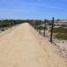 El sendero ciclopeatonal atravesando las dunas / FOTO: Eulogio García