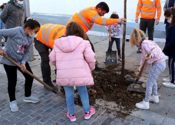 Escolares participan en la replantación de ejemplares, años atrás / FOTO: Ayto.