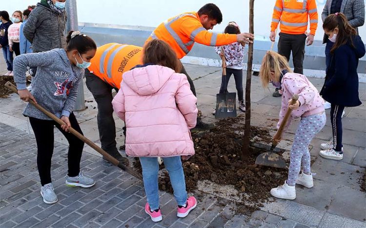 Escolares participan en la replantación de ejemplares, años atrás / FOTO: Ayto.