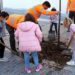 Escolares participan en la replantación de ejemplares, años atrás / FOTO: Ayto.