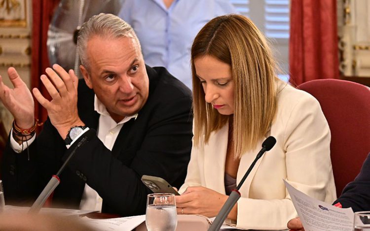 Los socialistas Ruiz Boix y Carrera en el último pleno / FOTO: Eulogio García