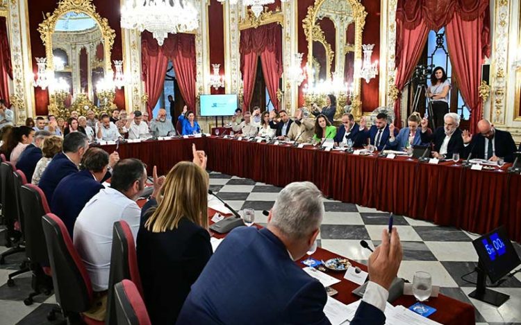 Gobierno y oposición votando lo mismo en uno de los puntos / FOTO: Eulogio García