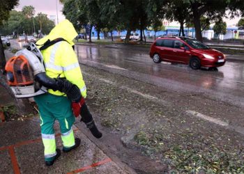 Operarios de limpieza continúan retirando hojas de las calles / FOTO: Ayto.