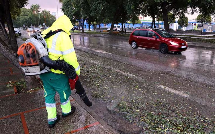 Operarios de limpieza continúan retirando hojas de las calles / FOTO: Ayto.