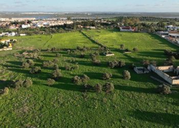 Zona de Huerta de la Compañía en la que se levantará el estadio / FOTO: Ayto.