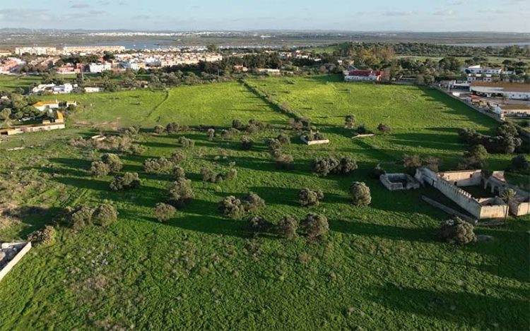 Zona de Huerta de la Compañía en la que se levantará el estadio / FOTO: Ayto.