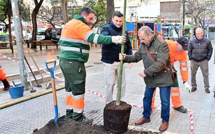 El alcalde colaborando con la plantación en La Laguna / FOTO: Ayto.