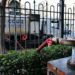 Tomando agua de uno de los pozos ya habilitados en la avenida / FOTO: Eulogio García