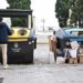 Bombos de basura en pleno centro histórico / FOTO: Eulogio García