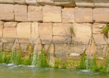 El agua potable saliendo a chorros del mismo puente / FOTO: Ayto,