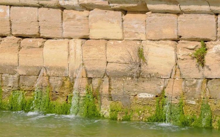 El agua potable saliendo a chorros del mismo puente / FOTO: Ayto,