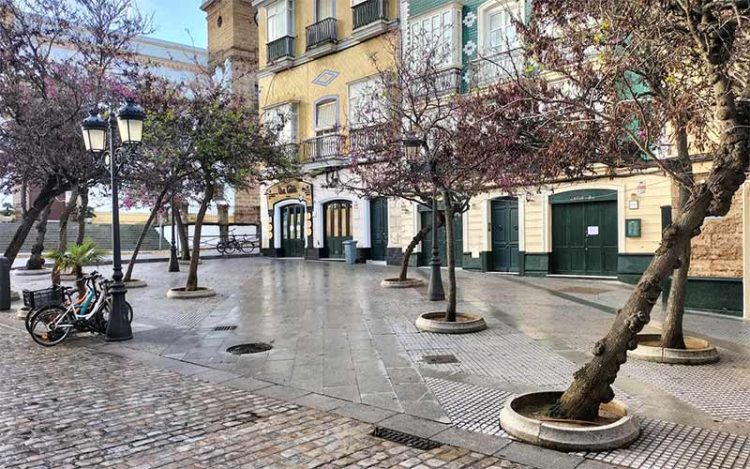 Tramo de la calle Plocia en la que coinciden sus restaurantes / FOTO: cedida