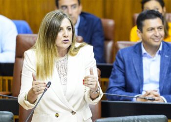 La socialista Irene García interviniendo en el pleno / FOTO: Parlamento Andaluz