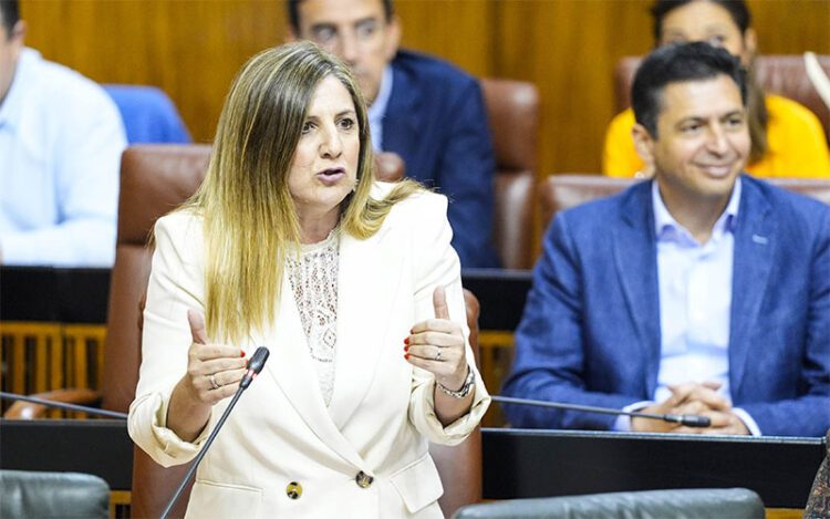 La socialista Irene García interviniendo en el pleno / FOTO: Parlamento Andaluz