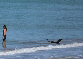 Baño en la Victoria con el perro en pleno invierno / FOTO: Eulogio García