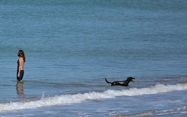 Baño en la Victoria con el perro en pleno invierno / FOTO: Eulogio García