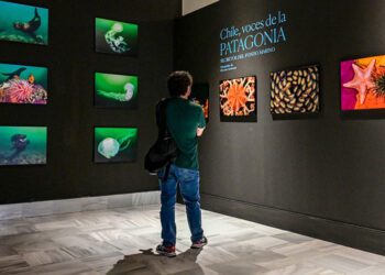 La exposición de Sorensen se puede visitar todo el verano / FOTO: Eulogio García