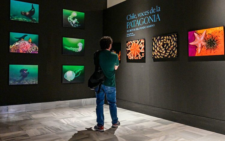 La exposición de Sorensen se puede visitar todo el verano / FOTO: Eulogio García