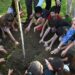 En la plantación del primer ejemplar de ‘alcanforero’ en el Parque El Retiro de Jerez / FOTO: Ayto.