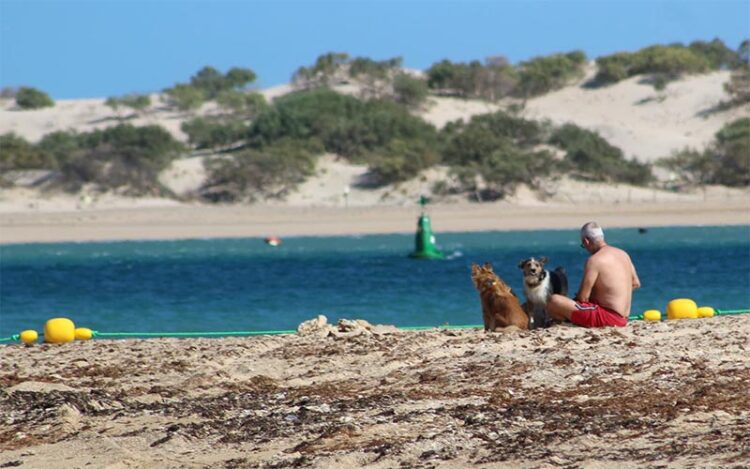 Los primeros usuarios de la playa canina / FOTO: Ayto.