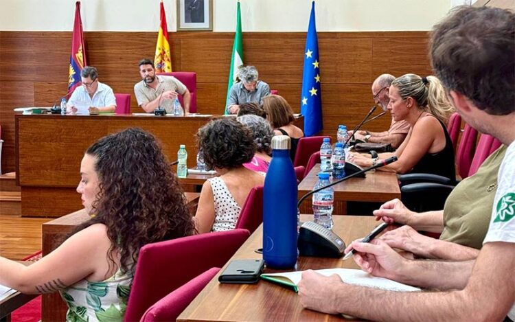 Palmero presidiendo la reunión en el salón de plenos / FOTO: Ayto.