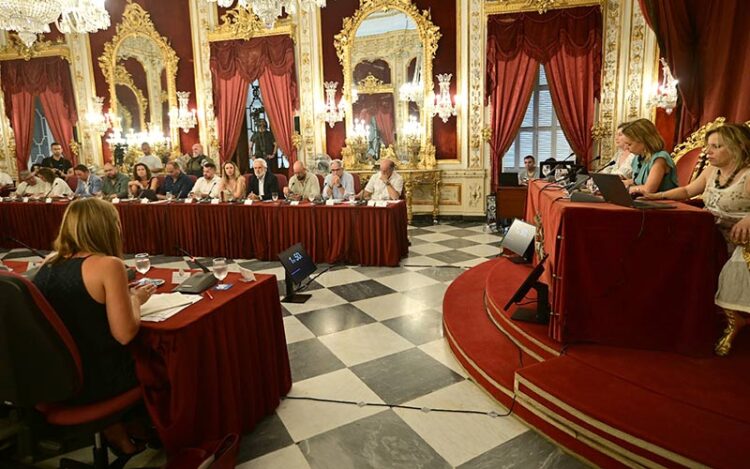 Un momento del pleno extraordinario / FOTO: Eulogio García