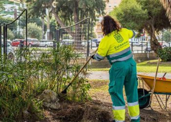 Las zonas ajardinadas también serán vigiladas por la empresa de plagas / FOTO: Ayto.