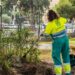 Las zonas ajardinadas también serán vigiladas por la empresa de plagas / FOTO: Ayto.