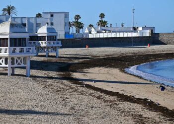 Algas en La Caleta, en una mañana de la pasada primavera / FOTO: Eulogio García