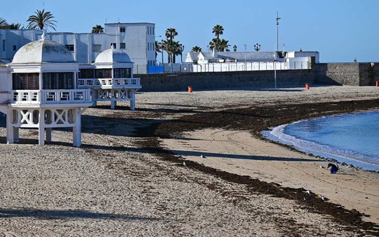 Algas en La Caleta, en una mañana de la pasada primavera / FOTO: Eulogio García