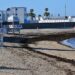 Algas en La Caleta, en una mañana de la pasada primavera / FOTO: Eulogio García