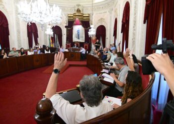 La oposición votando en contra de rechazar las alegaciones / FOTO: Eulogio García