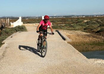 Paseo en bici entre esteros / FOTO: Junta