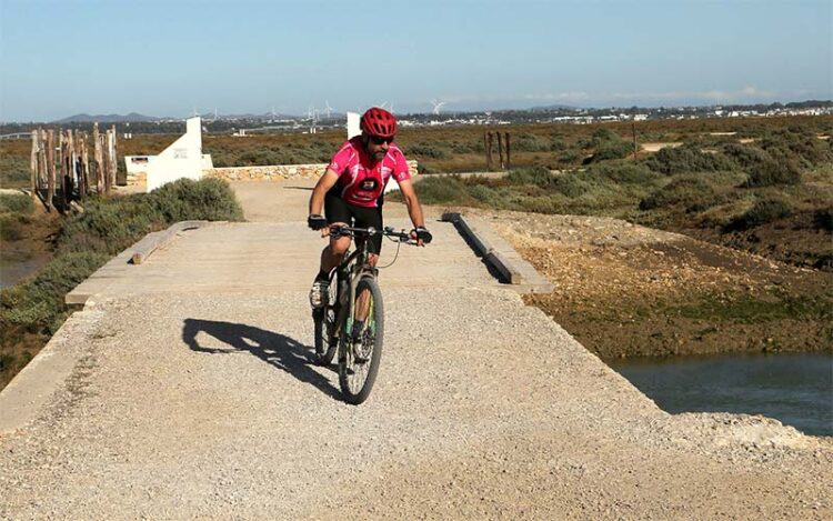 Paseo en bici entre esteros / FOTO: Junta