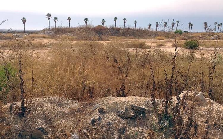 La Magdalena, tras dos años a la espera del reinicio de la obra / FOTO: DBC