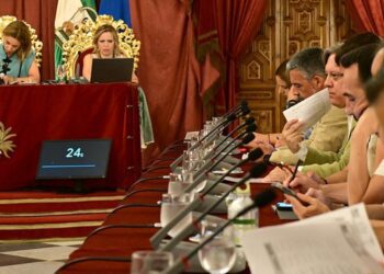 Torres en la bancada socialista en un pleno de la Diputación / FOTO: Eulogio García