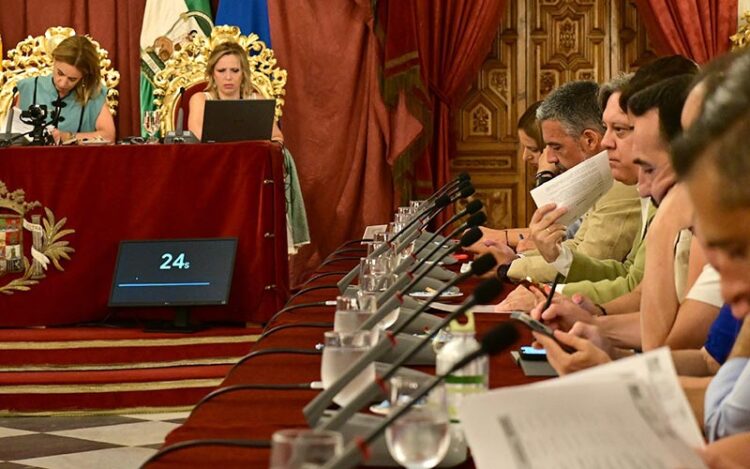 Torres en la bancada socialista en un pleno de la Diputación / FOTO: Eulogio García