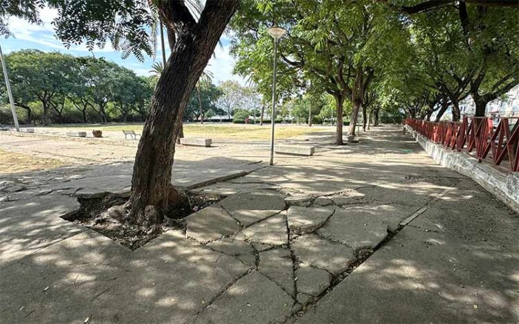 Uno de los rincones del degradado parque / FOTO: Ayto.